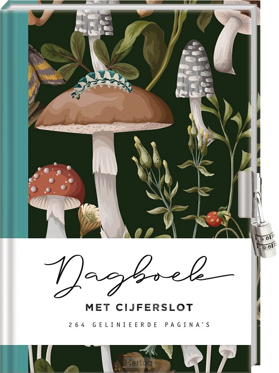 Dagboek met cijferslot