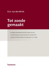 Tot zonde gemaakt