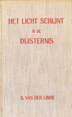 Het licht schijnt in de duisternis