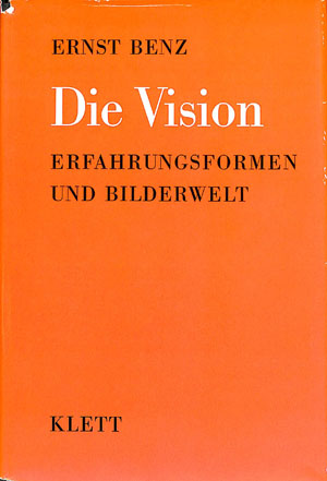 Die Vision (2e hands)