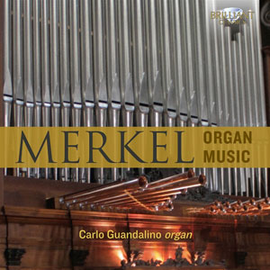 Gustav Merkel - Organ Music