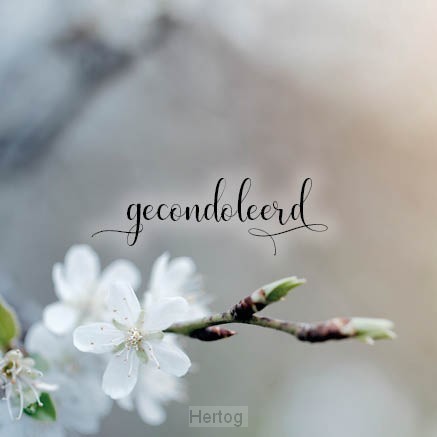 Gecondoleerd - wenskaart met Bijbeltekst