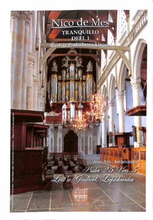 Tranquillo - deel 1 - Tweedehands Klavar