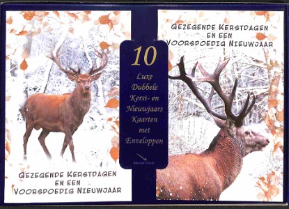 Doos Gezegende Kerstdagen en een Voorspoedig Nieuwjaar