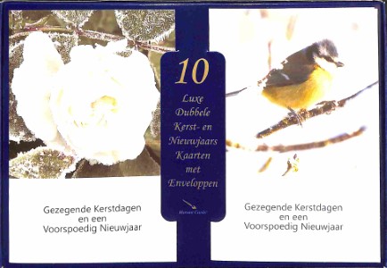 Doos Gezegende Kerstdagen en een Voorspoedig Nieuwjaar