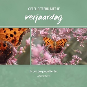 Gefeliciteerd met je verjaardag - wenskaart Bijbeltekst SV