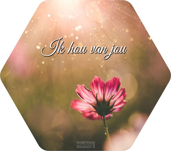 Ik hou van jou - tekstbord honingraat small