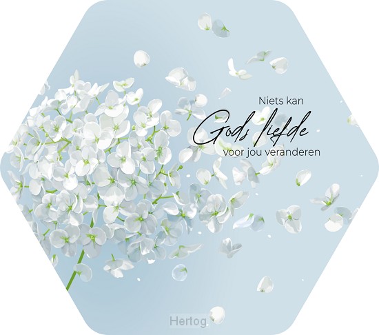Niets kan Gods liefde voor jou veranderen - tekstbord honingraat small