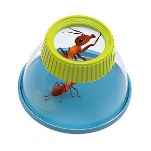 Insectenkijker