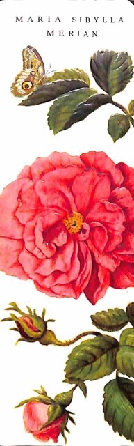 Rose large - boekenlegger