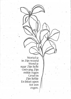 Wortel je in Zijn Woord - Groeikaart