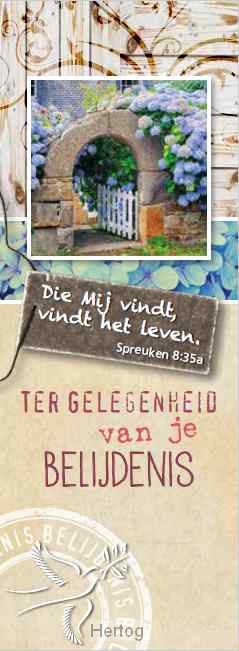 Ter gelegenheid van je belijdenis - tekst SV