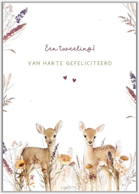 Een tweeling! Van harte gefeliciteerd