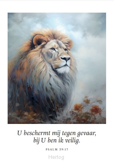 U beschermt mij tegen gevaar - enkele kaart met envelop