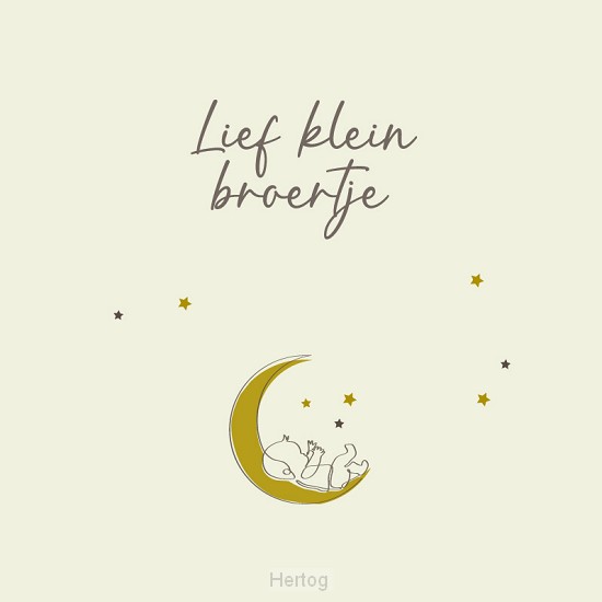 Lief klein broertje - wenskaart met envelop