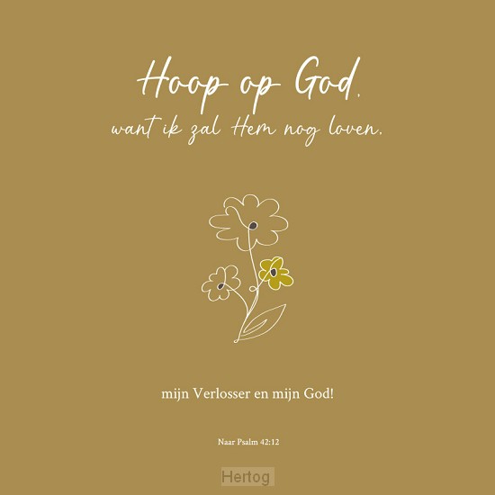 Hoop op God - wenskaart met envelop