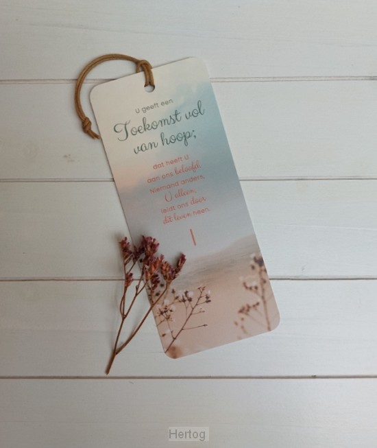 Toekomst vol van hoop - boekenlegger