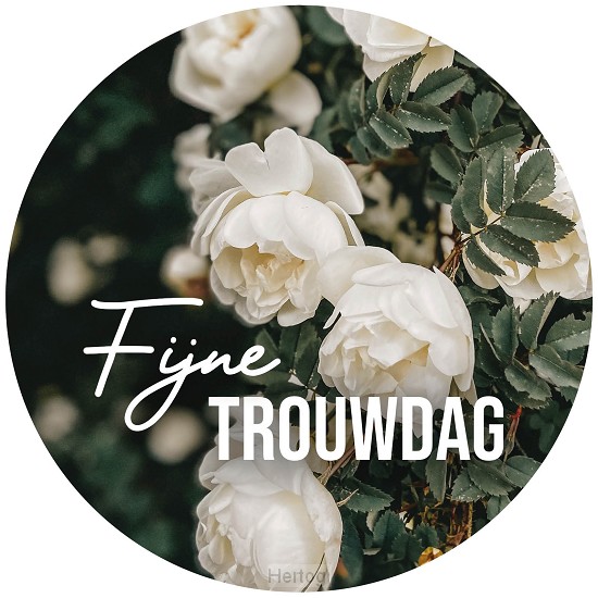 Fijne trouwdag - wenskaart