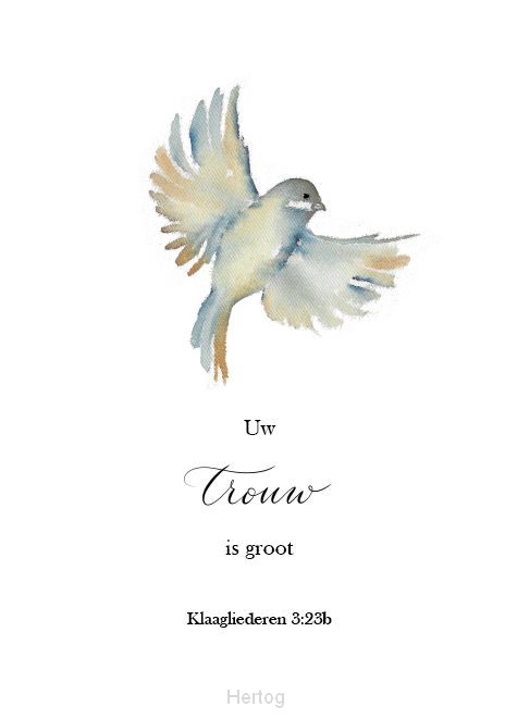 Uw trouw is groot - wenskaart