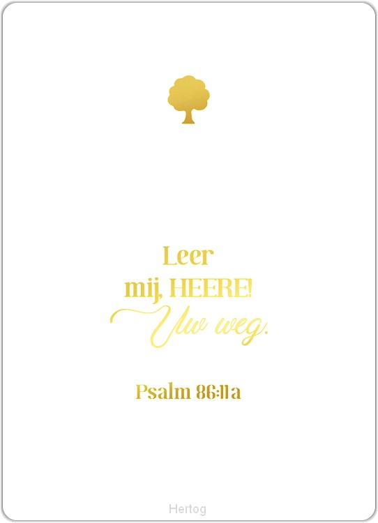 Leer mij, HEERE! Uw weg