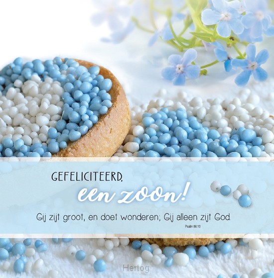 Gefeliciteerd, een zoon! - wenskaart Bijbeltekst SV