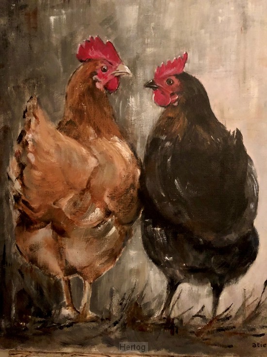 Kippen - wenskaart