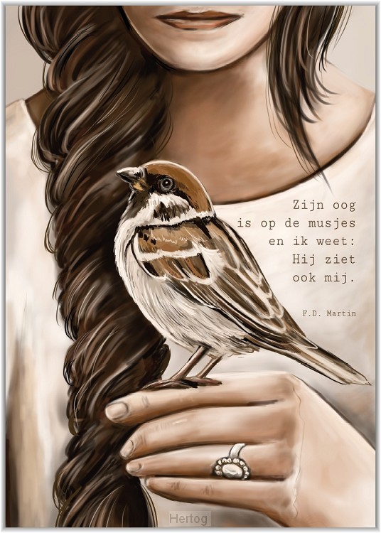 Zijn oog is op de musjes - poster A5