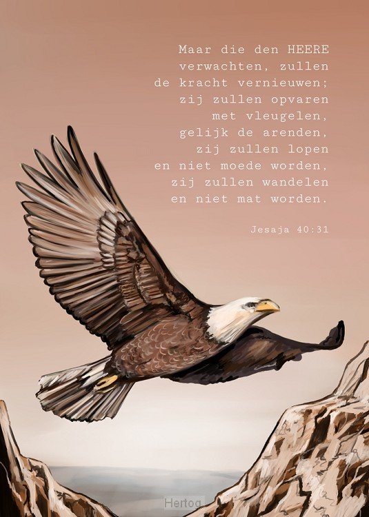 Maar die den Heere verwachten - minikaart