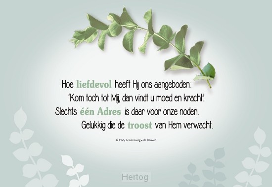 Met al mijn zorgen mag ik bij U komen - wenskaart met gedicht