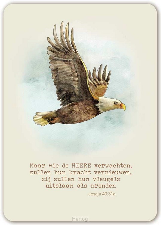 Gods liefde is rijk en onuitputtelijk en iedere morgen nieuw - kaart
