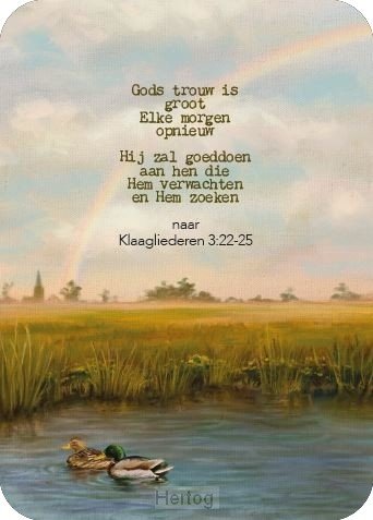 Gods trouw is groot - minikaart