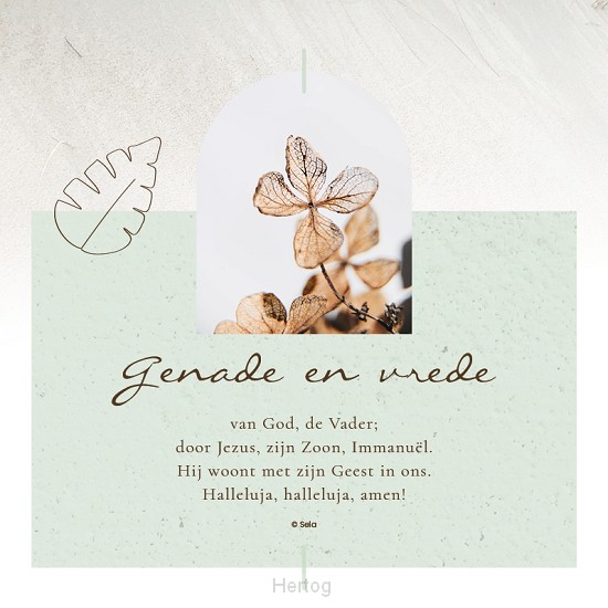 Genade en vrede - wenskaart