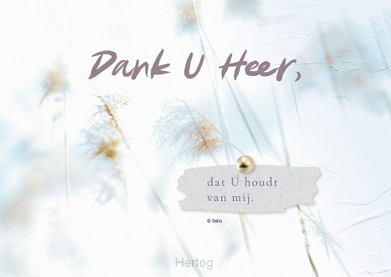 Dank U Heer - wenskaart