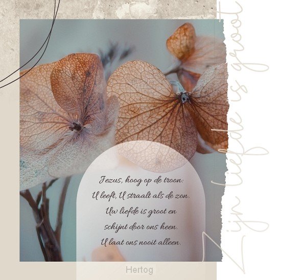Jezus hoog op de troon - wenskaart 