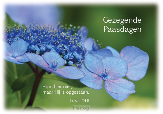 Gezegende Paasdagen - wenskaart met Bijbeltekst
