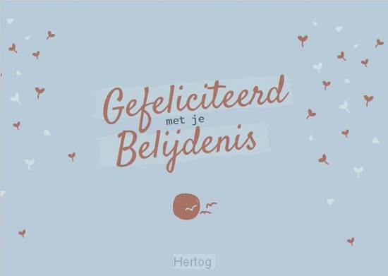 Gefeliciteerd met je Belijdenis - wenskaart