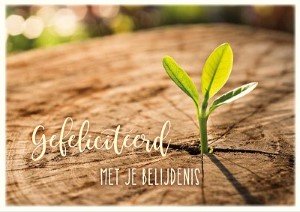Gefeliciteerd met je belijdenis - wenskaart