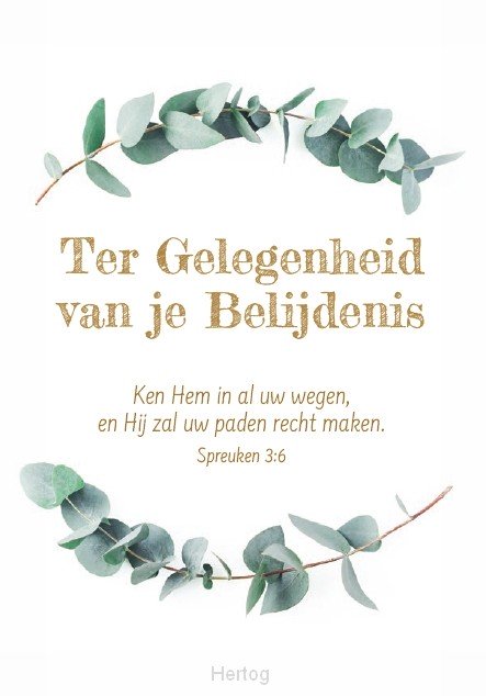 Ter Gelegenheid van je Belijdenis - wenskaart tekst
