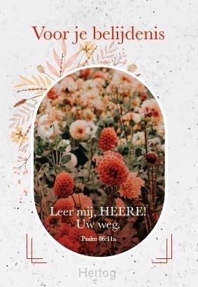 Voor je belijdenis - minikaart met tekst