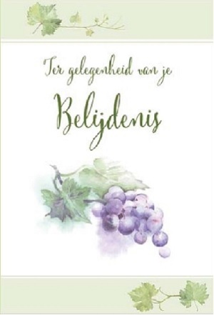Ter Gelegenheid van je Belijdenis - wenskaart met Bijbeltekst