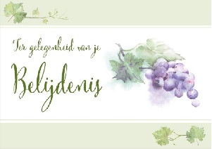 Ter gelegenheid van je belijdenis - wenskaart