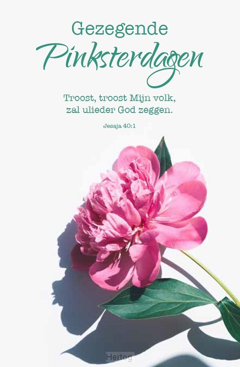 Gezegende Pinksterdagen - wenskaart met tekst