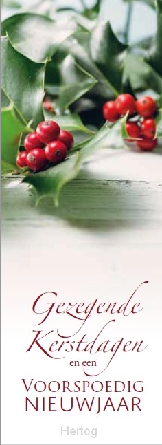 Gezegende Kerstdagen en een Voorspoedig Nieuwjaar - boekenlegger