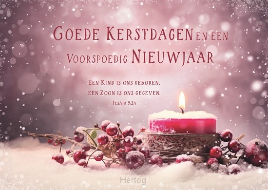 Map Goede Kerstdagen Voorspoedig Nieuwjaar - met tekst SV