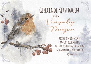 Map Gezegende Kerstdagen en een Voorspoedig Nieuwjaar - met Bijbeltekst