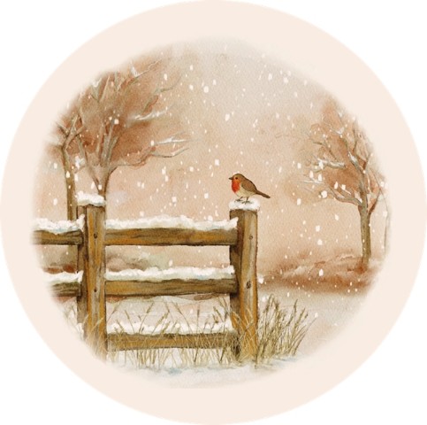 Roodborstje op hek - ronde kaart