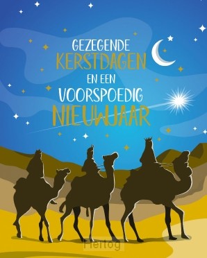 Doos Gezegende Kerstdagen en een Voorspoedig Nieuwjaar 