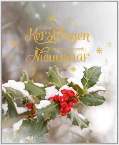 Doos Gezegende Kerstdagen en een Voorspoedig Nieuwjaar 