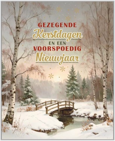 Doos Gezegende Kerstdagen en een Voorspoedig Nieuwjaar 