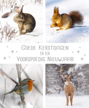 Doos Goede Kerstdagen en een Voorspoedig Nieuwjaar